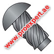  U-Drive Screws suppliers