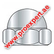  Acorn Nuts / Cap Nuts suppliers