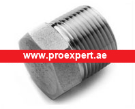 Pipe Plug exporter